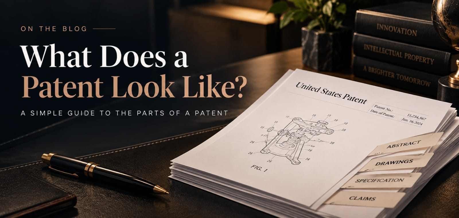 What Does a Patent Look Like?